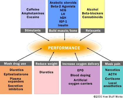 How Performance Enhancing Drugs Work